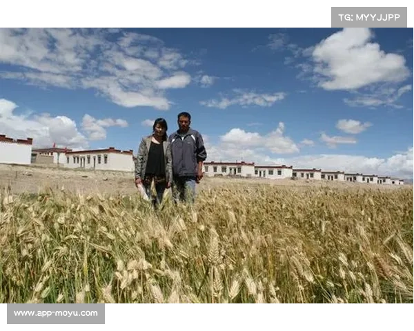 西藏大学教育学院石振老师期望排球运动在西藏校园扎根更深